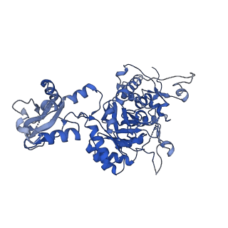 42012_8u7v_B_v1-1
Human retinal variant phosphomimetic IMPDH1(546)-S477D filament bound by GTP, ATP, IMP, and NAD+, interface-centered