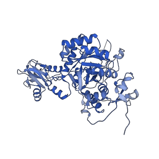 42012_8u7v_F_v1-1
Human retinal variant phosphomimetic IMPDH1(546)-S477D filament bound by GTP, ATP, IMP, and NAD+, interface-centered