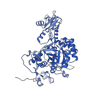 42012_8u7v_G_v1-1
Human retinal variant phosphomimetic IMPDH1(546)-S477D filament bound by GTP, ATP, IMP, and NAD+, interface-centered