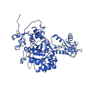 42012_8u7v_H_v1-1
Human retinal variant phosphomimetic IMPDH1(546)-S477D filament bound by GTP, ATP, IMP, and NAD+, interface-centered