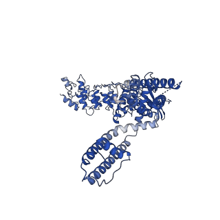 20682_6u88_C_v1-2
CBD-bound full-length rat TRPV2 in nanodiscs, state 2