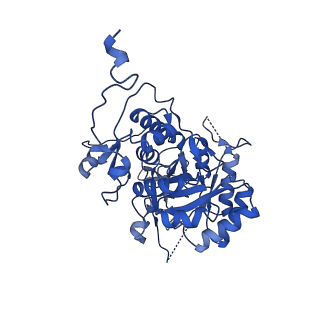 20687_6u8e_A_v1-1
Human IMPDH2 treated with ATP, IMP, and NAD+. Filament assembly interface reconstruction.