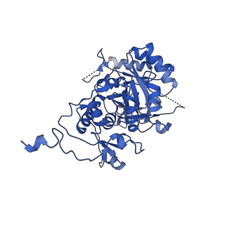 20687_6u8e_B_v1-1
Human IMPDH2 treated with ATP, IMP, and NAD+. Filament assembly interface reconstruction.