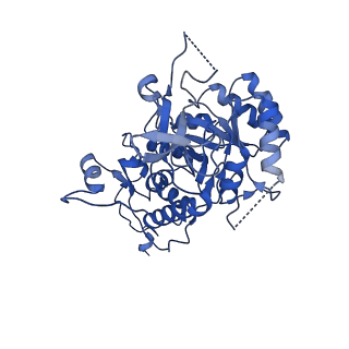 20687_6u8e_E_v1-1
Human IMPDH2 treated with ATP, IMP, and NAD+. Filament assembly interface reconstruction.