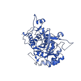 20687_6u8e_F_v1-1
Human IMPDH2 treated with ATP, IMP, and NAD+. Filament assembly interface reconstruction.