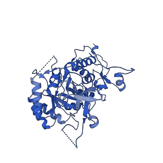 20687_6u8e_G_v1-1
Human IMPDH2 treated with ATP, IMP, and NAD+. Filament assembly interface reconstruction.