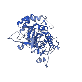 20687_6u8e_H_v1-1
Human IMPDH2 treated with ATP, IMP, and NAD+. Filament assembly interface reconstruction.