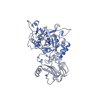 20688_6u8n_A_v1-1
Human IMPDH2 treated with ATP, IMP, and NAD+. Fully extended filament segment reconstruction.