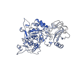 20688_6u8n_B_v1-1
Human IMPDH2 treated with ATP, IMP, and NAD+. Fully extended filament segment reconstruction.