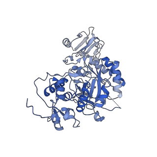 20688_6u8n_E_v1-1
Human IMPDH2 treated with ATP, IMP, and NAD+. Fully extended filament segment reconstruction.