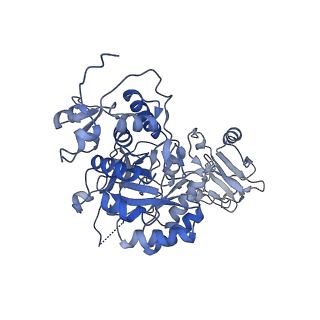 20688_6u8n_F_v1-1
Human IMPDH2 treated with ATP, IMP, and NAD+. Fully extended filament segment reconstruction.