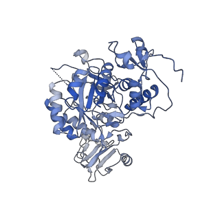 20688_6u8n_G_v1-1
Human IMPDH2 treated with ATP, IMP, and NAD+. Fully extended filament segment reconstruction.