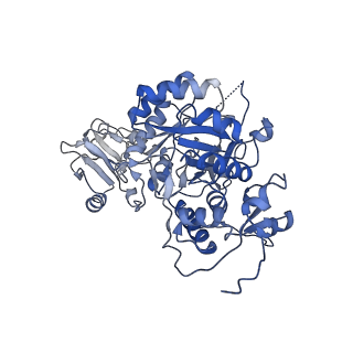 20688_6u8n_H_v1-1
Human IMPDH2 treated with ATP, IMP, and NAD+. Fully extended filament segment reconstruction.