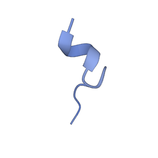 20688_6u8n_K_v1-1
Human IMPDH2 treated with ATP, IMP, and NAD+. Fully extended filament segment reconstruction.