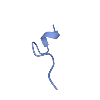 20688_6u8n_M_v1-1
Human IMPDH2 treated with ATP, IMP, and NAD+. Fully extended filament segment reconstruction.