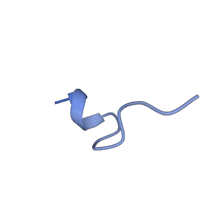 20688_6u8n_P_v1-1
Human IMPDH2 treated with ATP, IMP, and NAD+. Fully extended filament segment reconstruction.