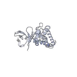 20689_6u8q_B_v1-3
CryoEM structure of HIV-1 cleaved synaptic complex (CSC) intasome