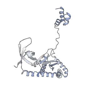 20689_6u8q_C_v1-3
CryoEM structure of HIV-1 cleaved synaptic complex (CSC) intasome