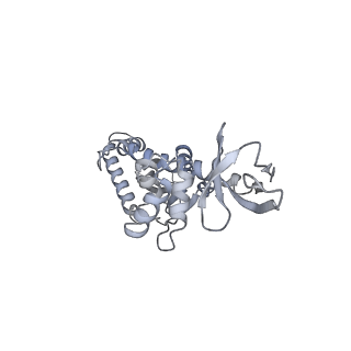 20689_6u8q_D_v1-2
CryoEM structure of HIV-1 cleaved synaptic complex (CSC) intasome