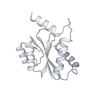 20689_6u8q_K_v1-3
CryoEM structure of HIV-1 cleaved synaptic complex (CSC) intasome