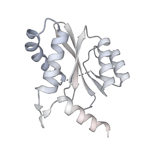 20689_6u8q_L_v1-3
CryoEM structure of HIV-1 cleaved synaptic complex (CSC) intasome