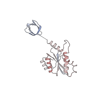 20689_6u8q_P_v1-3
CryoEM structure of HIV-1 cleaved synaptic complex (CSC) intasome