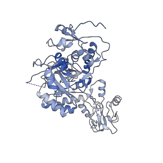 20690_6u8r_A_v1-0
Human IMPDH2 treated with ATP, IMP, and NAD+. Bent (1/4 compressed, 3/4 extended) segment reconstruction.