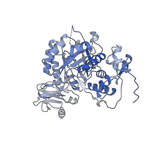 20690_6u8r_B_v1-1
Human IMPDH2 treated with ATP, IMP, and NAD+. Bent (1/4 compressed, 3/4 extended) segment reconstruction.