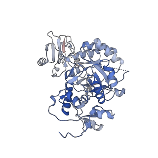 20690_6u8r_C_v1-1
Human IMPDH2 treated with ATP, IMP, and NAD+. Bent (1/4 compressed, 3/4 extended) segment reconstruction.