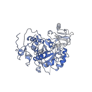 20690_6u8r_D_v1-0
Human IMPDH2 treated with ATP, IMP, and NAD+. Bent (1/4 compressed, 3/4 extended) segment reconstruction.