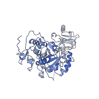 20690_6u8r_D_v1-1
Human IMPDH2 treated with ATP, IMP, and NAD+. Bent (1/4 compressed, 3/4 extended) segment reconstruction.