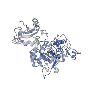 20690_6u8r_F_v1-1
Human IMPDH2 treated with ATP, IMP, and NAD+. Bent (1/4 compressed, 3/4 extended) segment reconstruction.