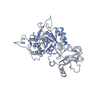 20690_6u8r_H_v1-1
Human IMPDH2 treated with ATP, IMP, and NAD+. Bent (1/4 compressed, 3/4 extended) segment reconstruction.