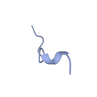 20690_6u8r_I_v1-1
Human IMPDH2 treated with ATP, IMP, and NAD+. Bent (1/4 compressed, 3/4 extended) segment reconstruction.