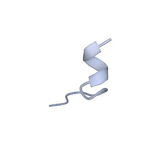 20690_6u8r_J_v1-1
Human IMPDH2 treated with ATP, IMP, and NAD+. Bent (1/4 compressed, 3/4 extended) segment reconstruction.