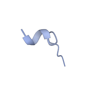 20690_6u8r_K_v1-1
Human IMPDH2 treated with ATP, IMP, and NAD+. Bent (1/4 compressed, 3/4 extended) segment reconstruction.