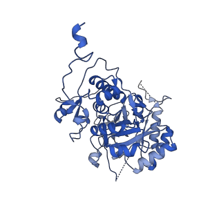 20691_6u8s_A_v1-1
Human IMPDH2 treated with ATP, IMP, NAD+, and 2 mM GTP. Filament assembly interface reconstruction.