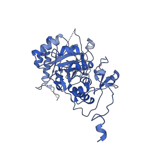 20691_6u8s_C_v1-1
Human IMPDH2 treated with ATP, IMP, NAD+, and 2 mM GTP. Filament assembly interface reconstruction.