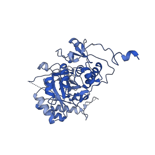 20691_6u8s_D_v1-1
Human IMPDH2 treated with ATP, IMP, NAD+, and 2 mM GTP. Filament assembly interface reconstruction.