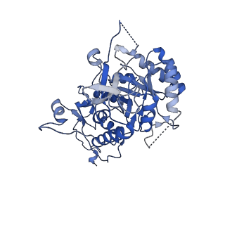 20691_6u8s_E_v1-1
Human IMPDH2 treated with ATP, IMP, NAD+, and 2 mM GTP. Filament assembly interface reconstruction.