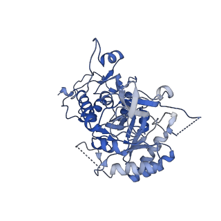 20691_6u8s_F_v1-1
Human IMPDH2 treated with ATP, IMP, NAD+, and 2 mM GTP. Filament assembly interface reconstruction.