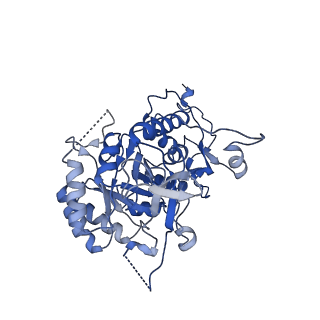 20691_6u8s_G_v1-1
Human IMPDH2 treated with ATP, IMP, NAD+, and 2 mM GTP. Filament assembly interface reconstruction.