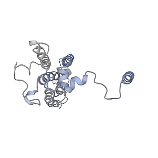 20692_6u8y_E_v1-2
Structure of the membrane-bound sulfane sulfur reductase (MBS), an archaeal respiratory membrane complex