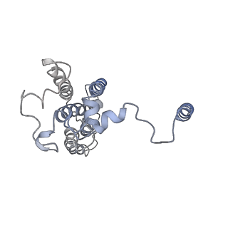 20692_6u8y_E_v1-3
Structure of the membrane-bound sulfane sulfur reductase (MBS), an archaeal respiratory membrane complex