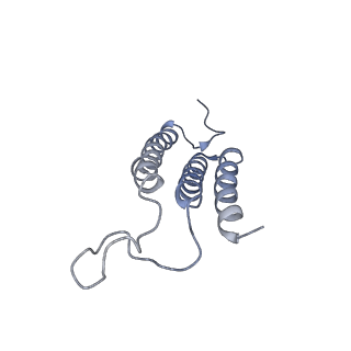 20692_6u8y_G_v1-3
Structure of the membrane-bound sulfane sulfur reductase (MBS), an archaeal respiratory membrane complex