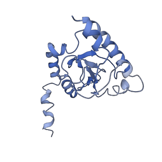 20692_6u8y_J_v1-2
Structure of the membrane-bound sulfane sulfur reductase (MBS), an archaeal respiratory membrane complex