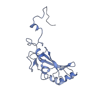 20692_6u8y_K_v1-2
Structure of the membrane-bound sulfane sulfur reductase (MBS), an archaeal respiratory membrane complex