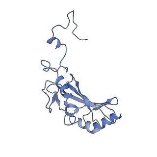 20692_6u8y_K_v1-3
Structure of the membrane-bound sulfane sulfur reductase (MBS), an archaeal respiratory membrane complex