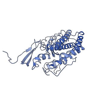 20692_6u8y_L_v1-2
Structure of the membrane-bound sulfane sulfur reductase (MBS), an archaeal respiratory membrane complex