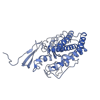 20692_6u8y_L_v1-3
Structure of the membrane-bound sulfane sulfur reductase (MBS), an archaeal respiratory membrane complex